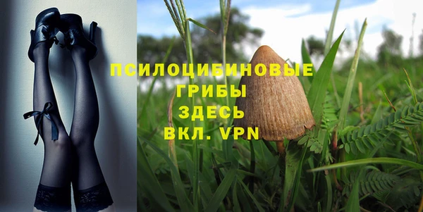 первитин Алексеевка